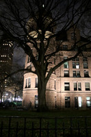 American Museum of Natural History at Night