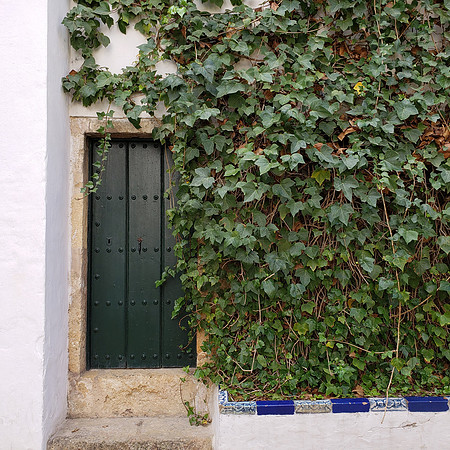 Door at the Alcazar in Seville