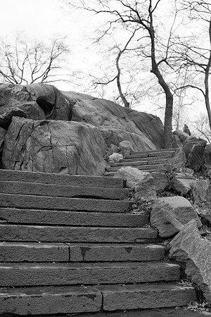 Stone stairs in Central Park